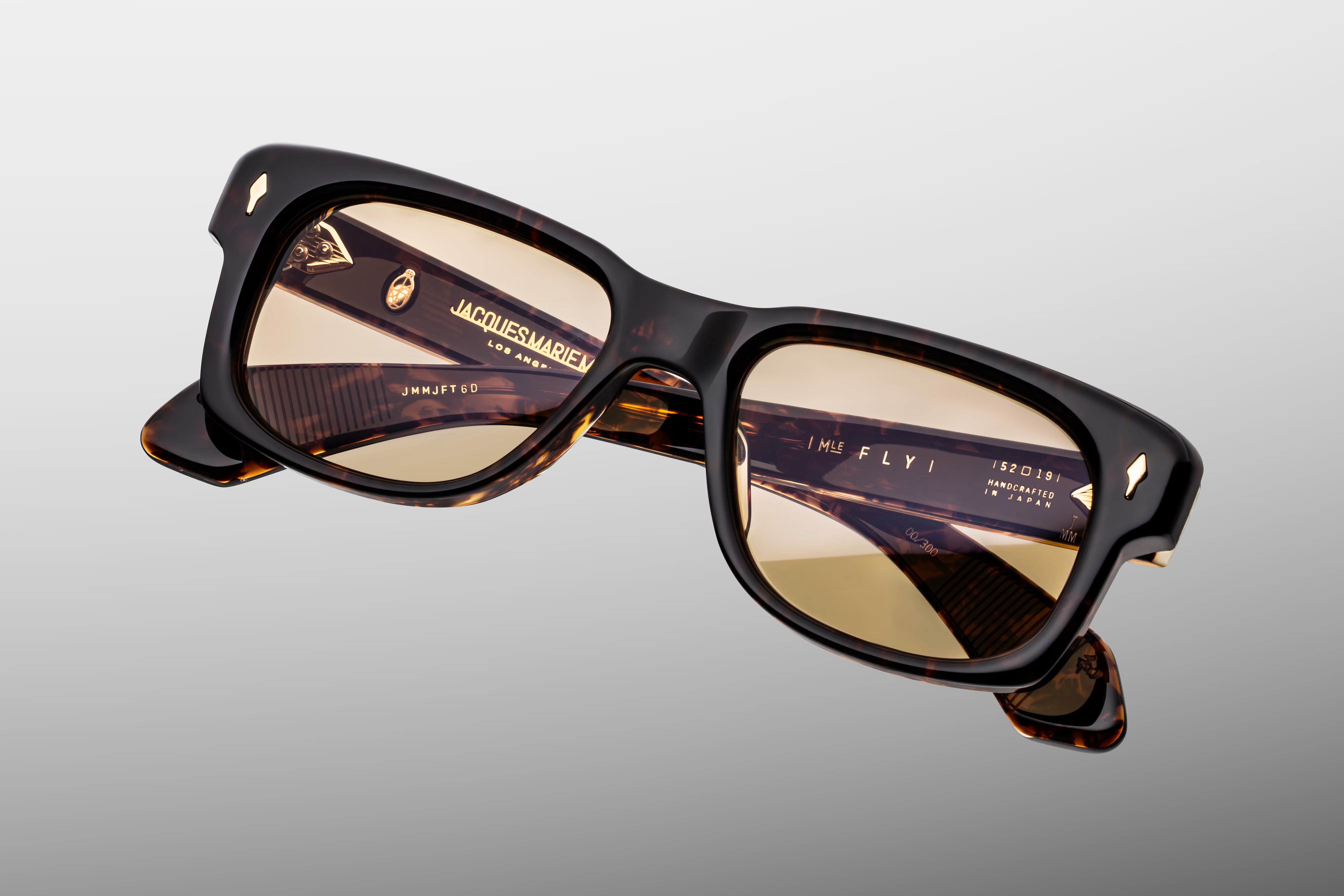 JEFF GOLDBLUM FOR JMM: FLY