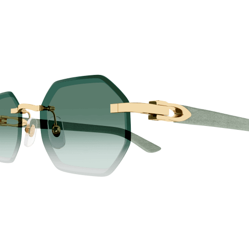 CT0439S