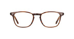 Brandy Tortoise / 50x20