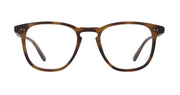 Spotted Brown Shell / 47x21
