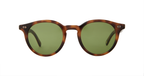Spotted Brown Shell / 47x24