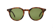 Spotted Brown Shell / 47x24