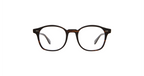 Coffee Tortoise / 48x22