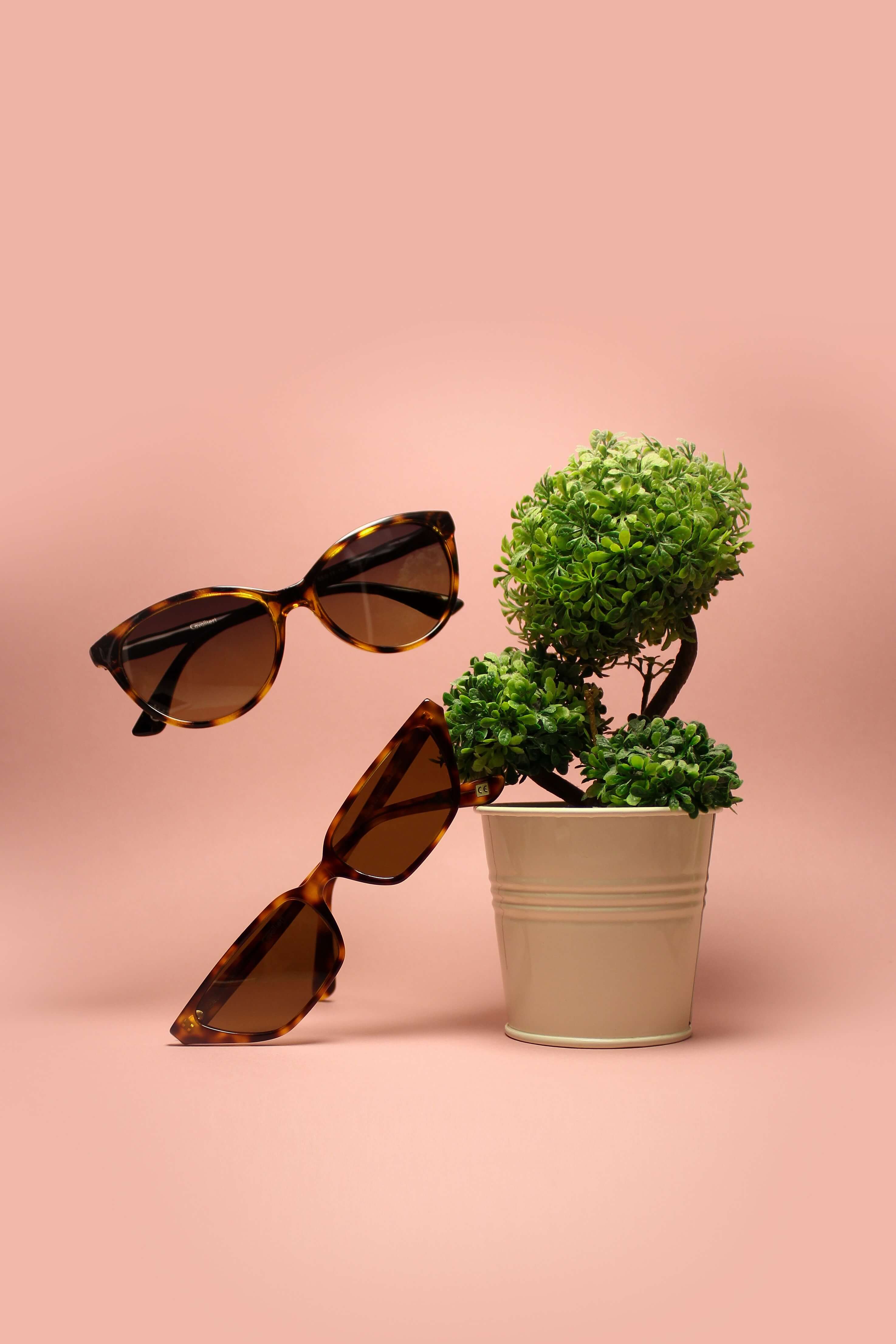 fashion sunglasses leaning on a plant 